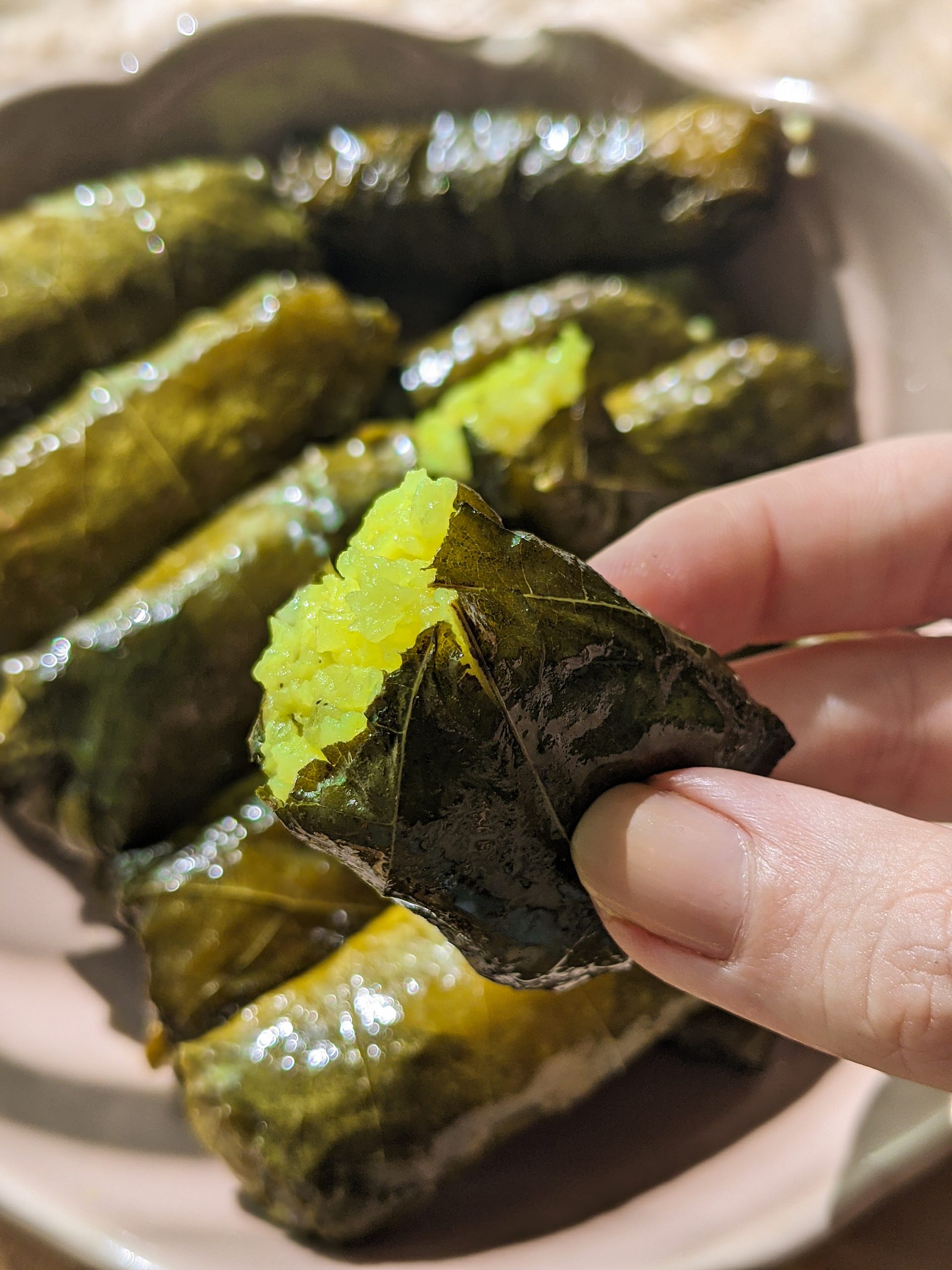 Yaprak sarma (stuffed grape leaves) Margodrobi